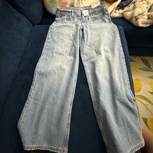 American Eagle Outfitters Light Blue Flare Jeans
